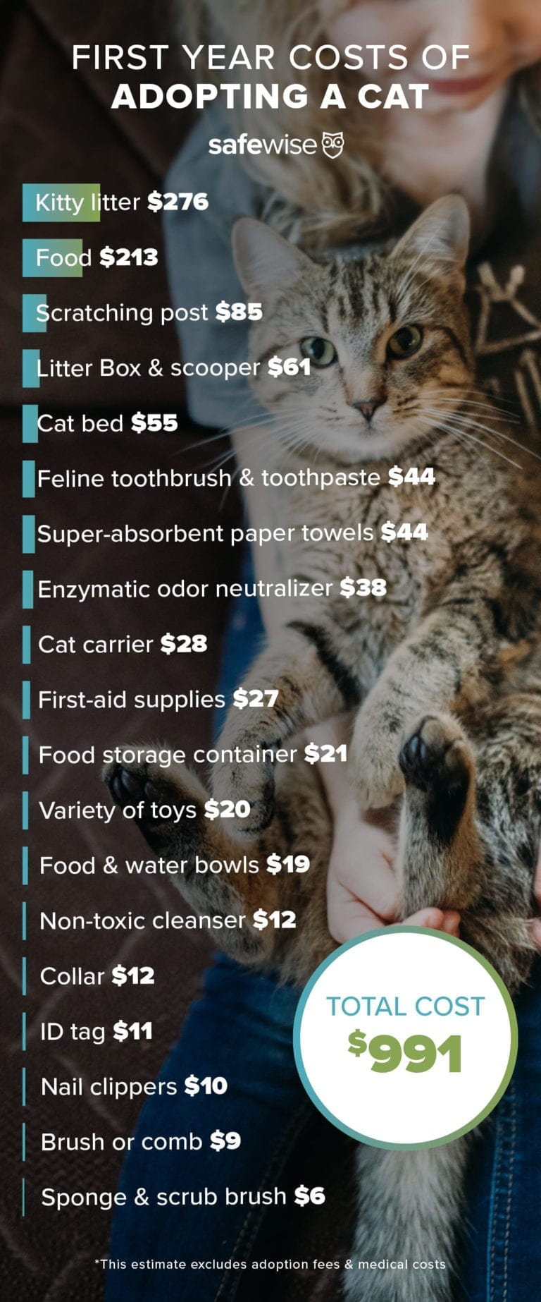 infograph of cat costs