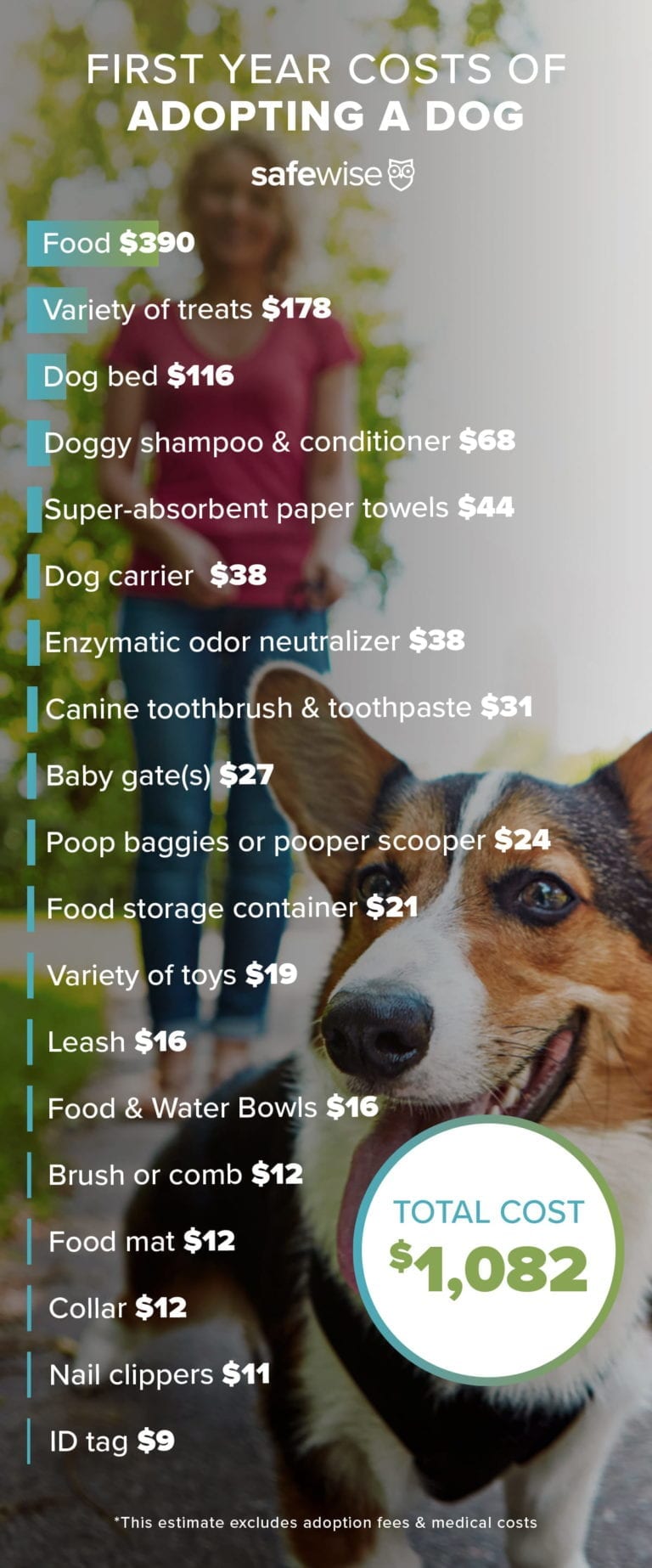 infograph of dog costs