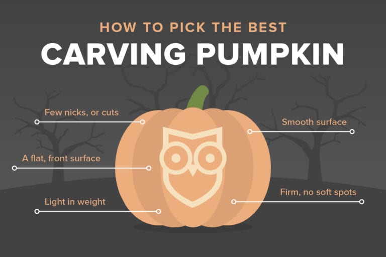 How to pick the best carving pumpkin