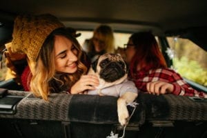friends and puppy preparing for a long distance road trip