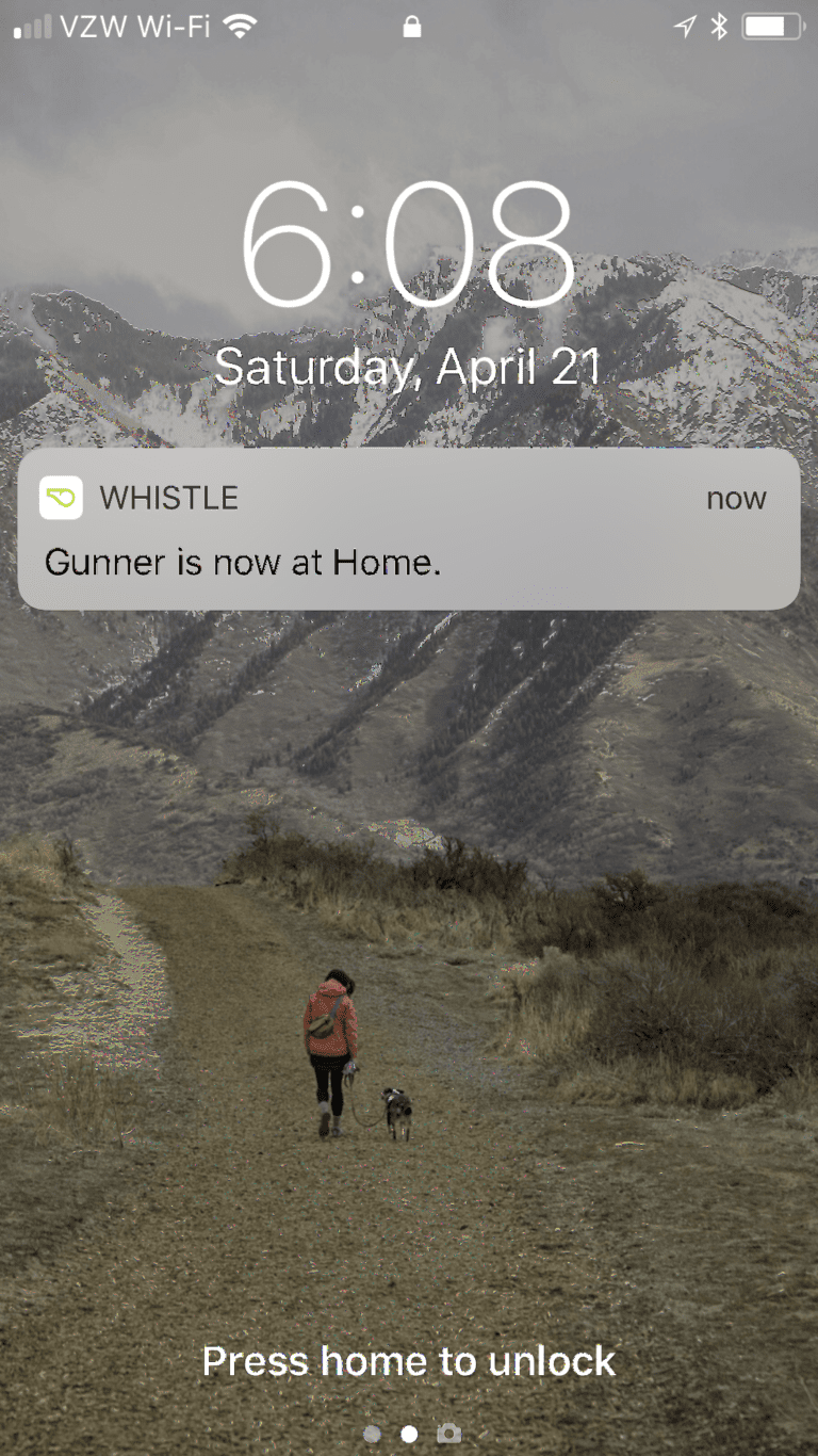 Homescreen notification for Whistle app