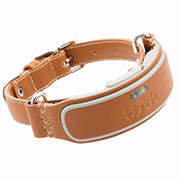 gps perimeter dog collar