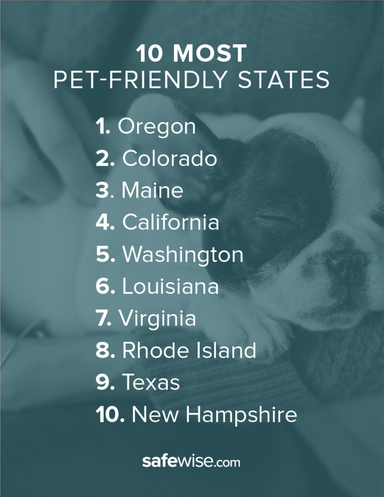 The Most Pet-Friendly States in America | SafeWise