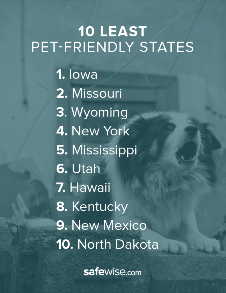 The Most Pet-Friendly States in America | SafeWise