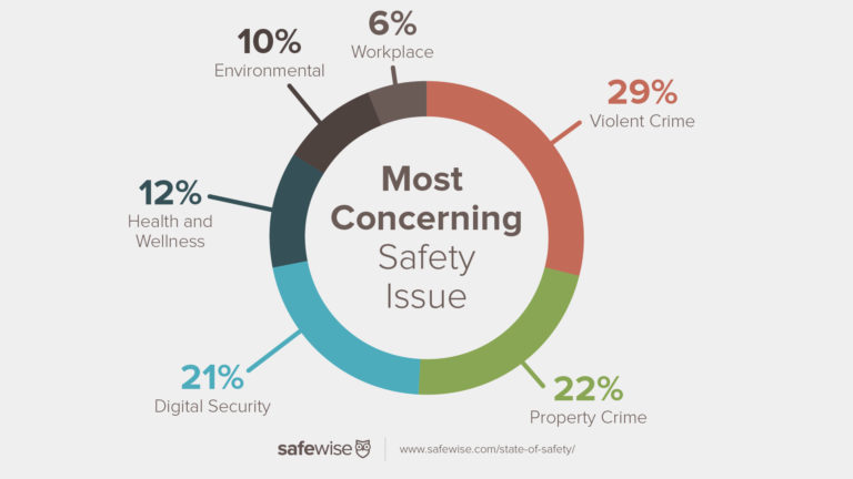 Chart showing the most concerning safety issues in the country